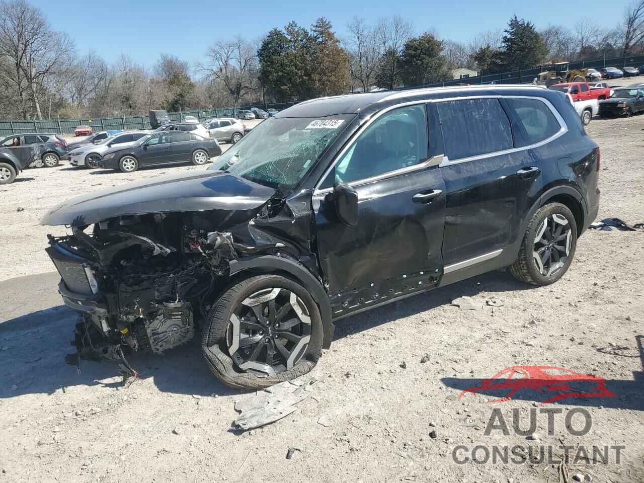 KIA TELLURIDE 2025 - 5XYP64GC8SG565906