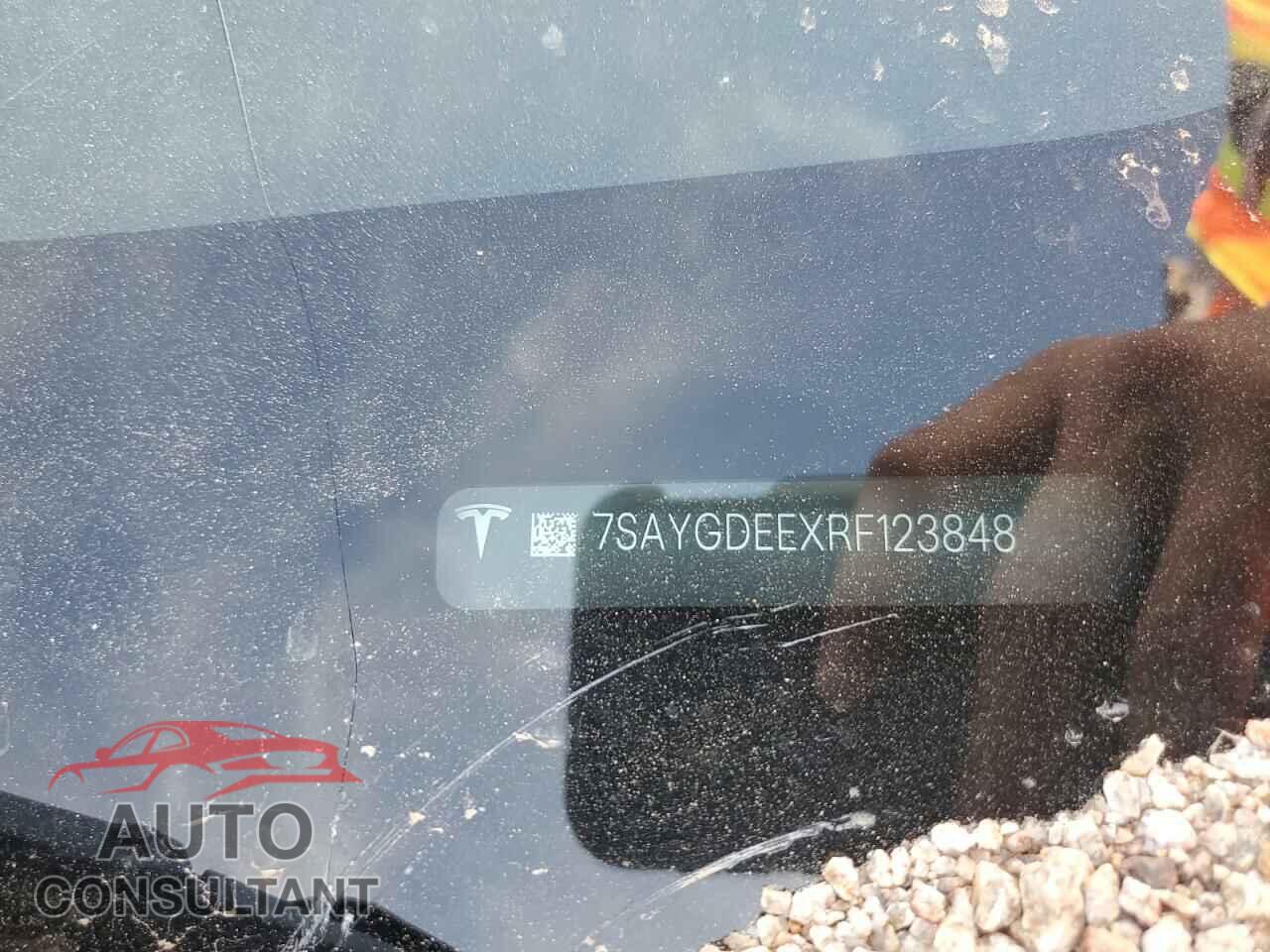 TESLA MODEL Y 2024 - 7SAYGDEEXRF123848