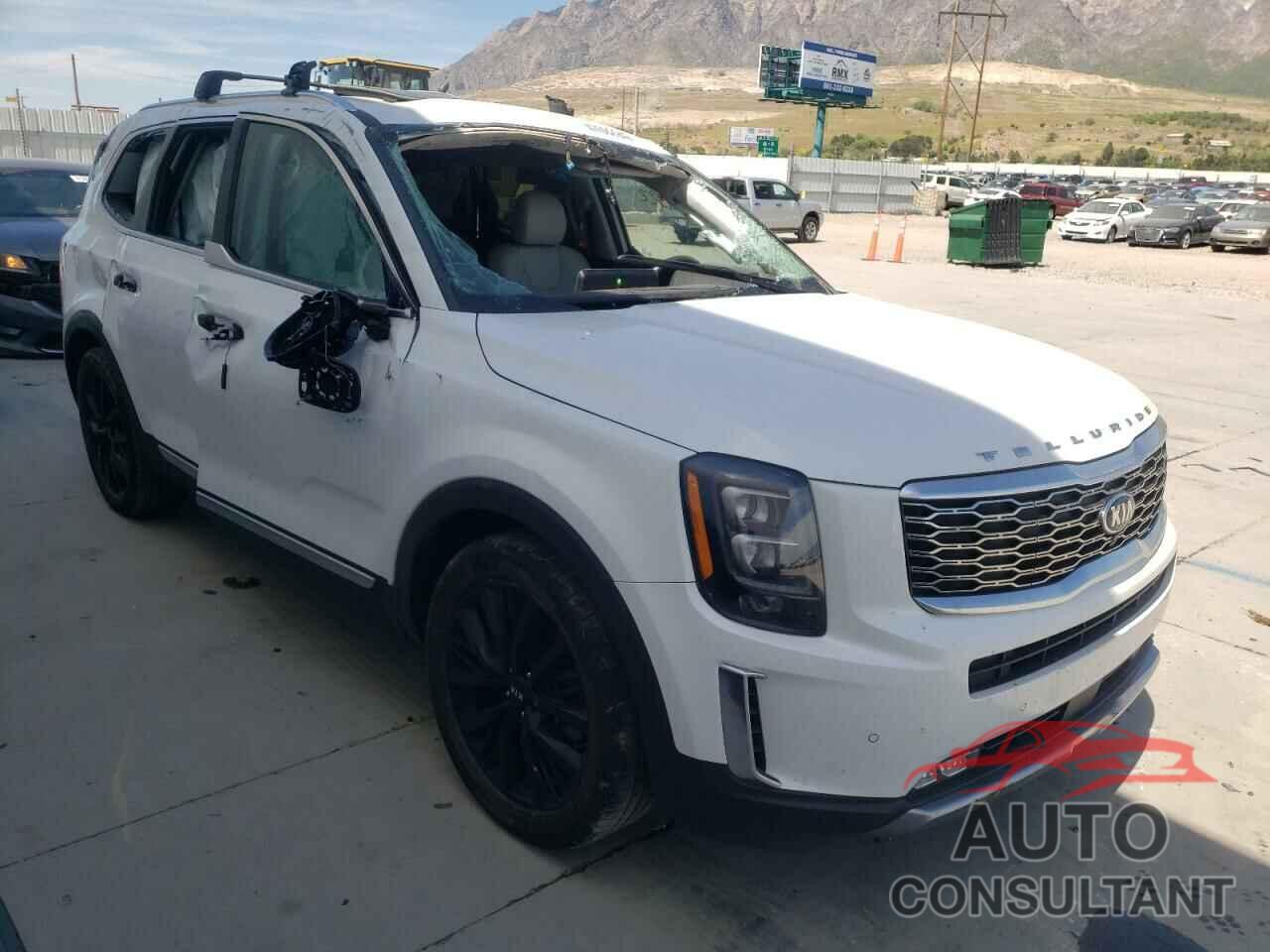 KIA TELLURIDE 2020 - 5XYP5DHCXLG063417