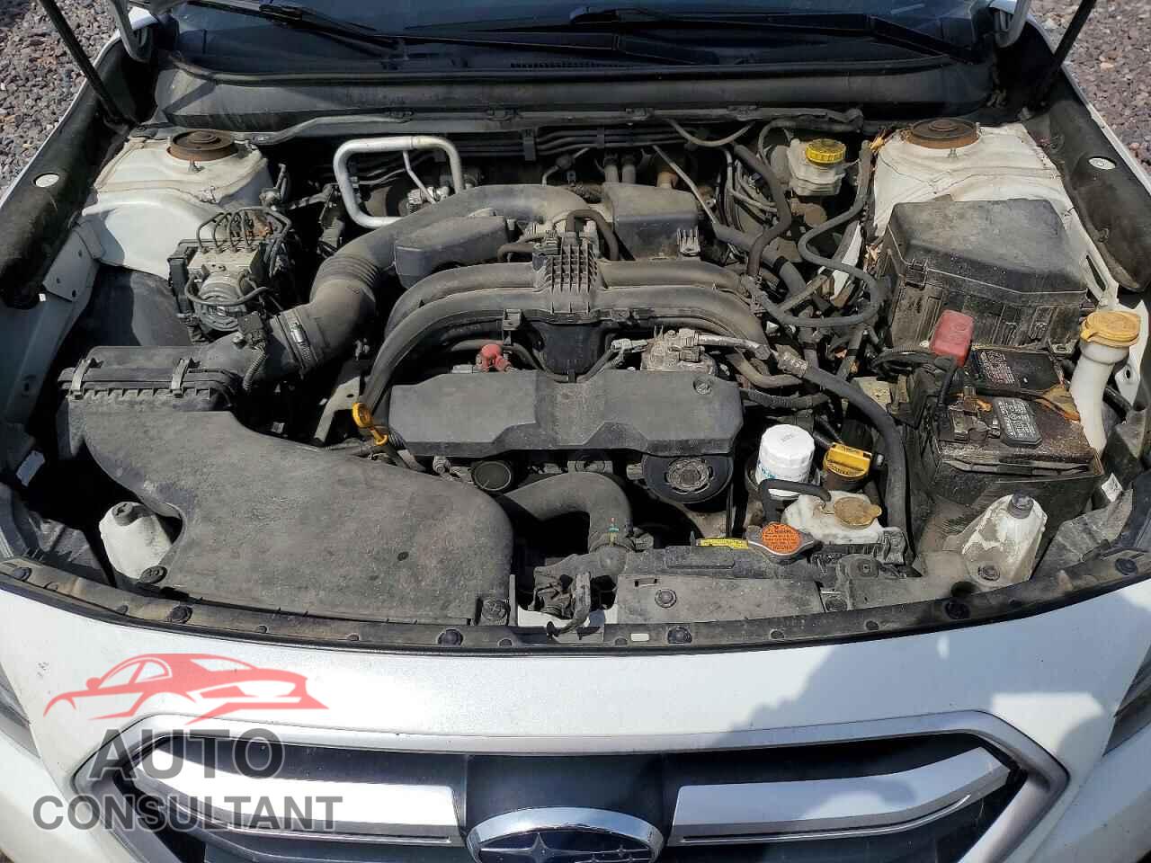 SUBARU OUTBACK 2019 - 4S4BSABC1K3229543