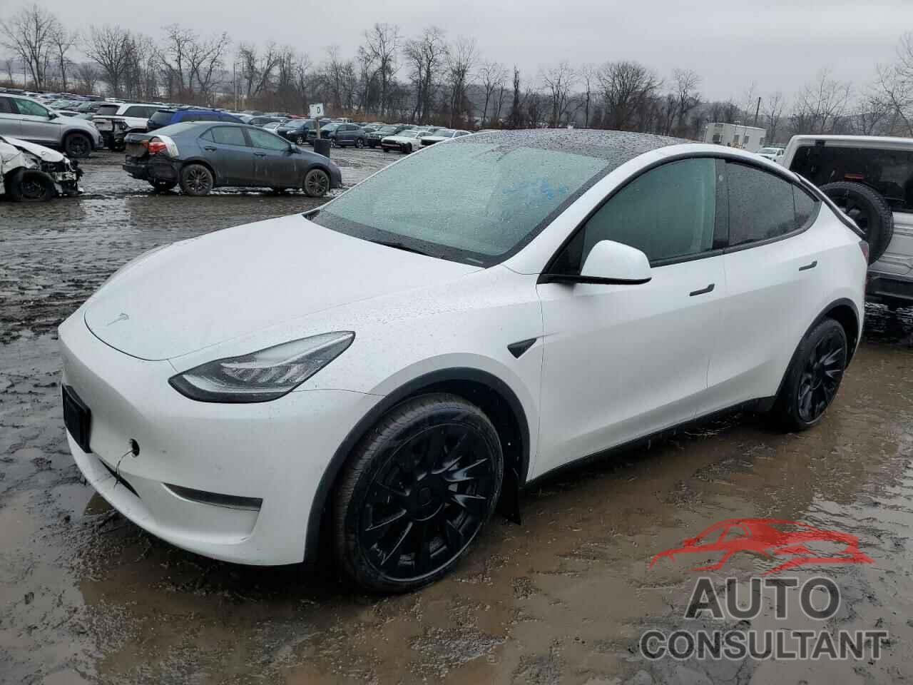 TESLA MODEL Y 2022 - 7SAYGDEE6NA016495