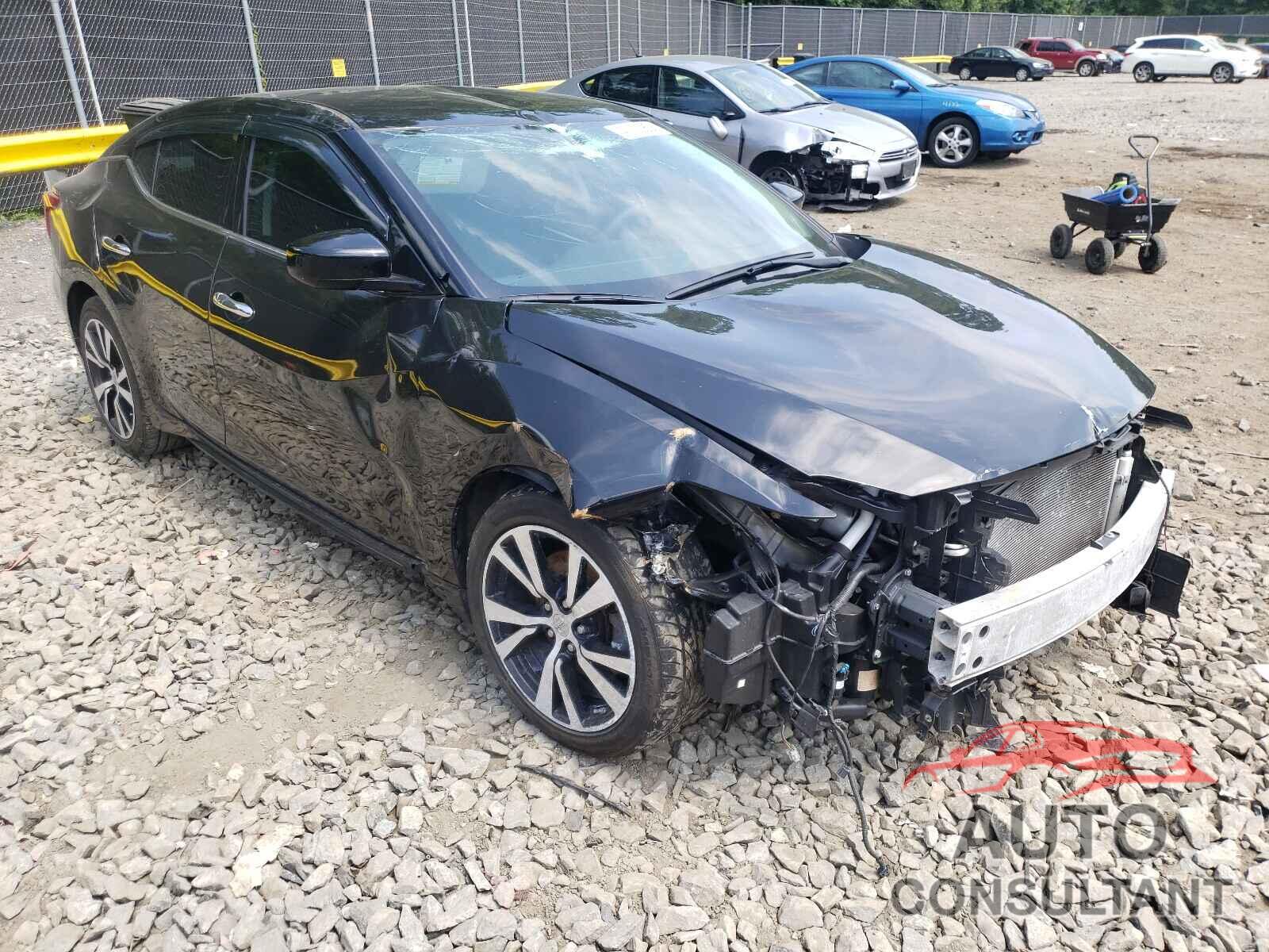 NISSAN MAXIMA 2017 - 1N4AA6AP6HC446248