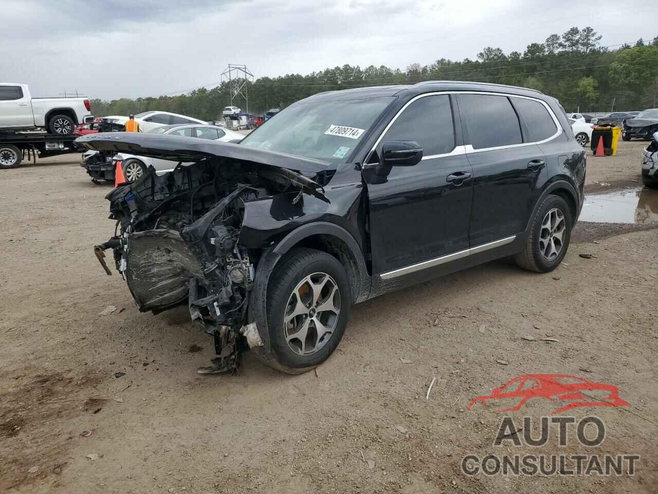 KIA TELLURIDE 2020 - 5XYP34HC0LG019500