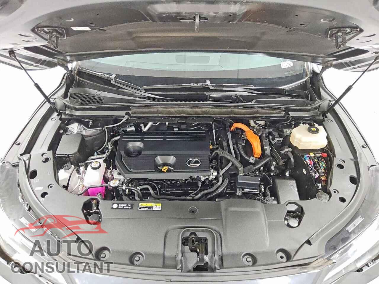 LEXUS UNKNOWN 2024 - 2T2BBMCA4RC053880