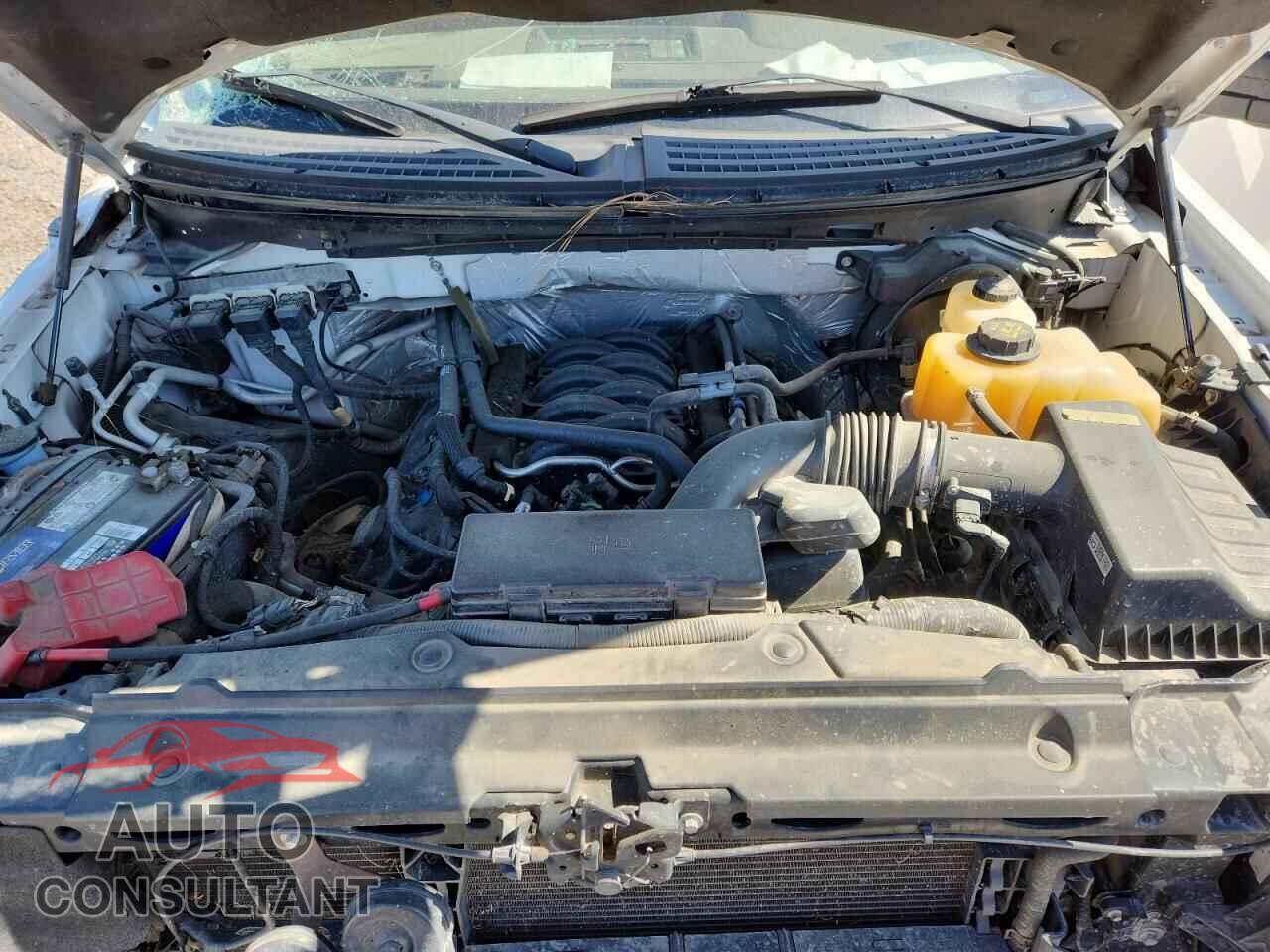 FORD F150 2013 - 1FTFW1EF2DFD00508