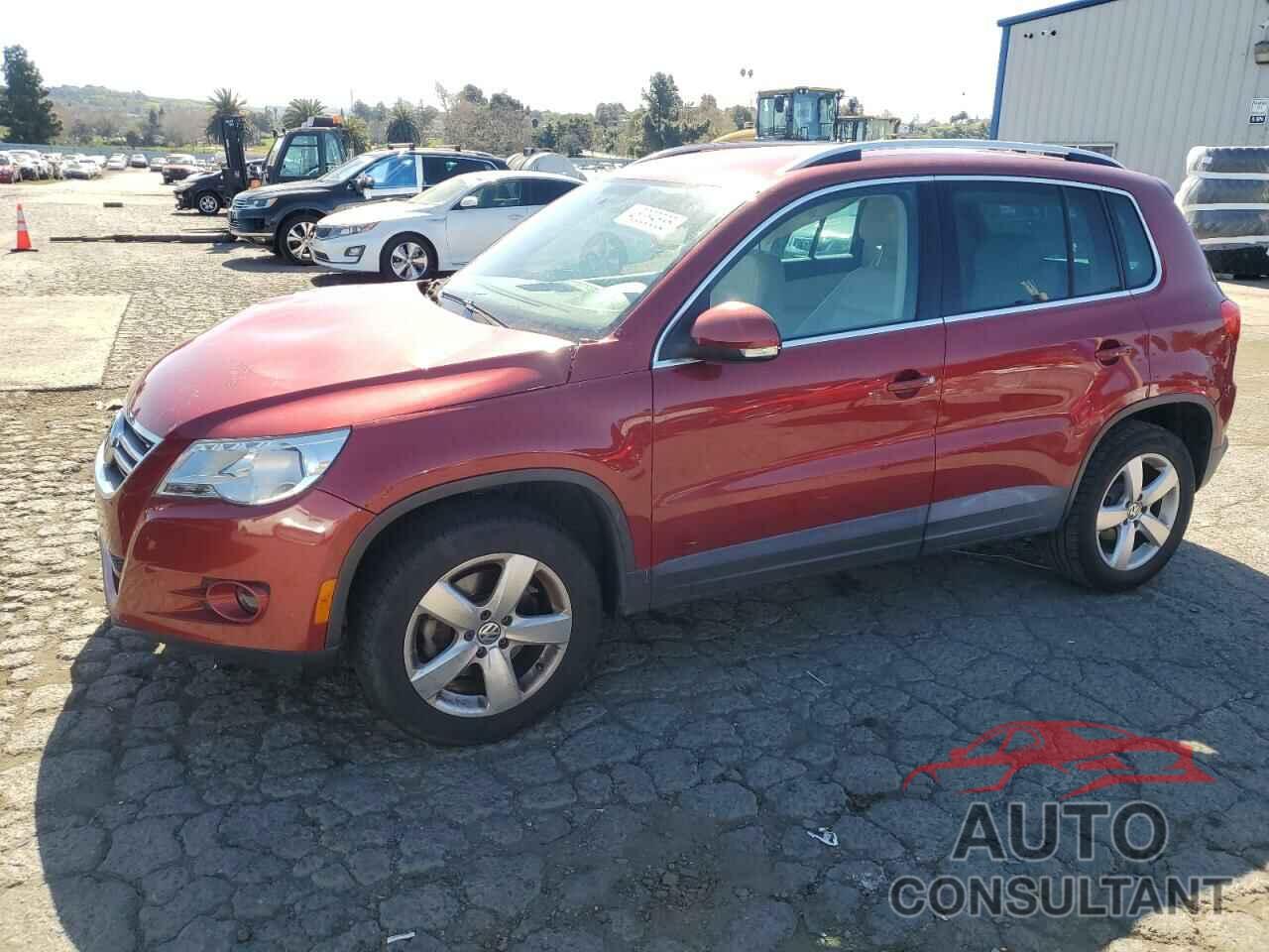 VOLKSWAGEN TIGUAN 2010 - WVGAV9AX4AW003953