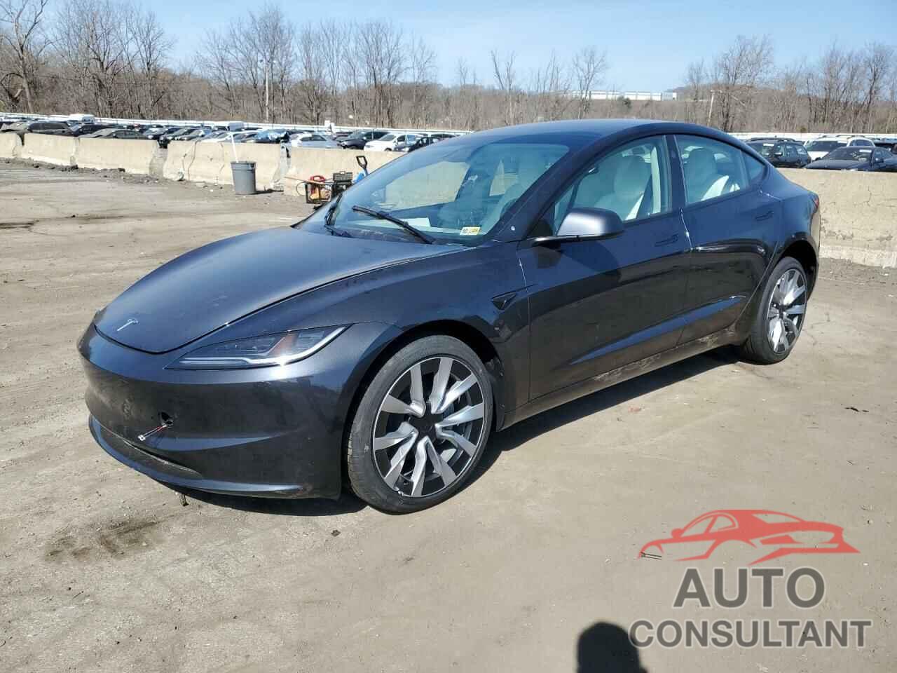 TESLA MODEL 3 2024 - 5YJ3E1EA5RF871819