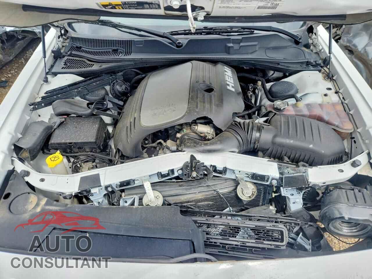 DODGE CHALLENGER 2019 - 2C3CDZBTXKH513434