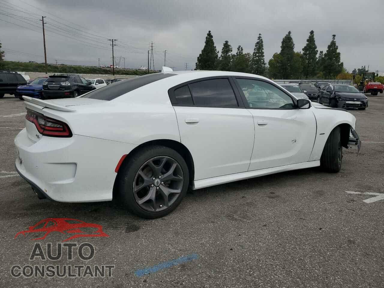 DODGE CHARGER 2019 - 2C3CDXCT6KH584360