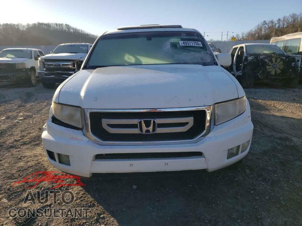 HONDA RIDGELINE 2011 - 5FPYK1F52BB010305