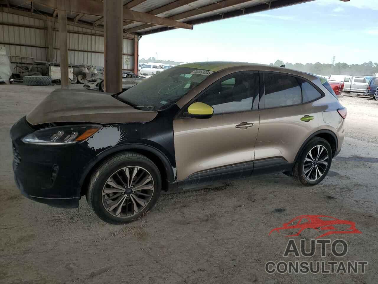 FORD ESCAPE 2021 - 1FMCU0G69MUB08543