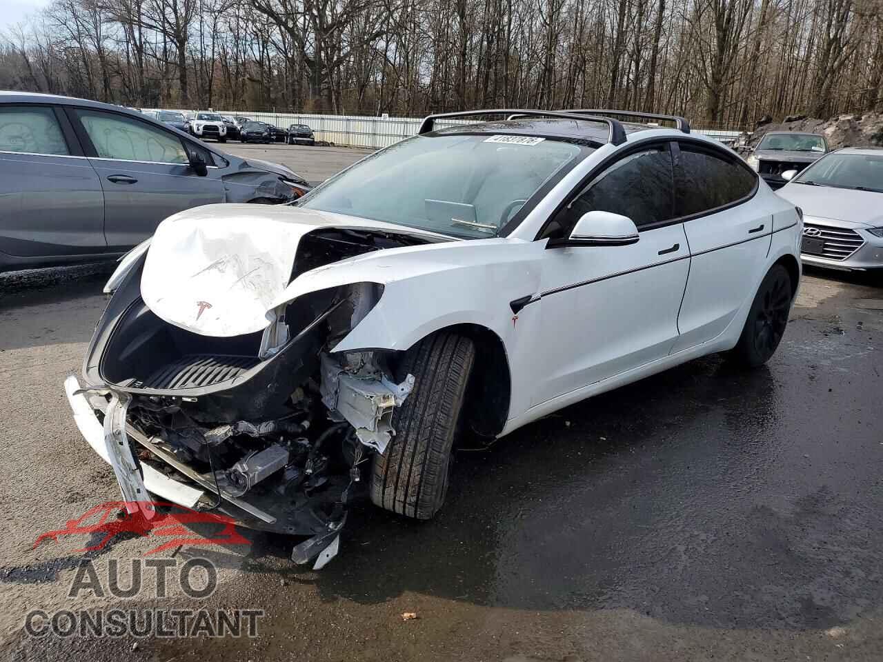 TESLA MODEL 3 2021 - 5YJ3E1EA9MF920562