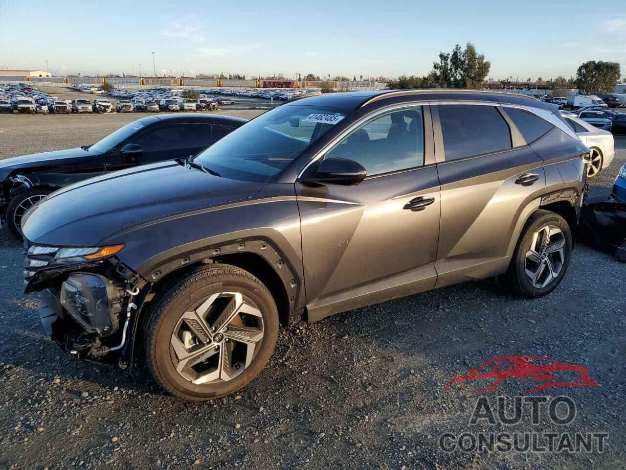 HYUNDAI TUCSON 2023 - 5NMJFCAEXPH236583