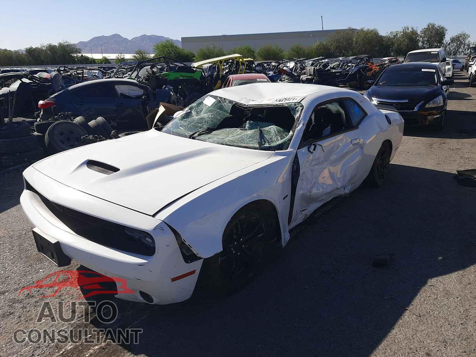 DODGE CHALLENGER 2019 - 2C3CDZBT9KH659596