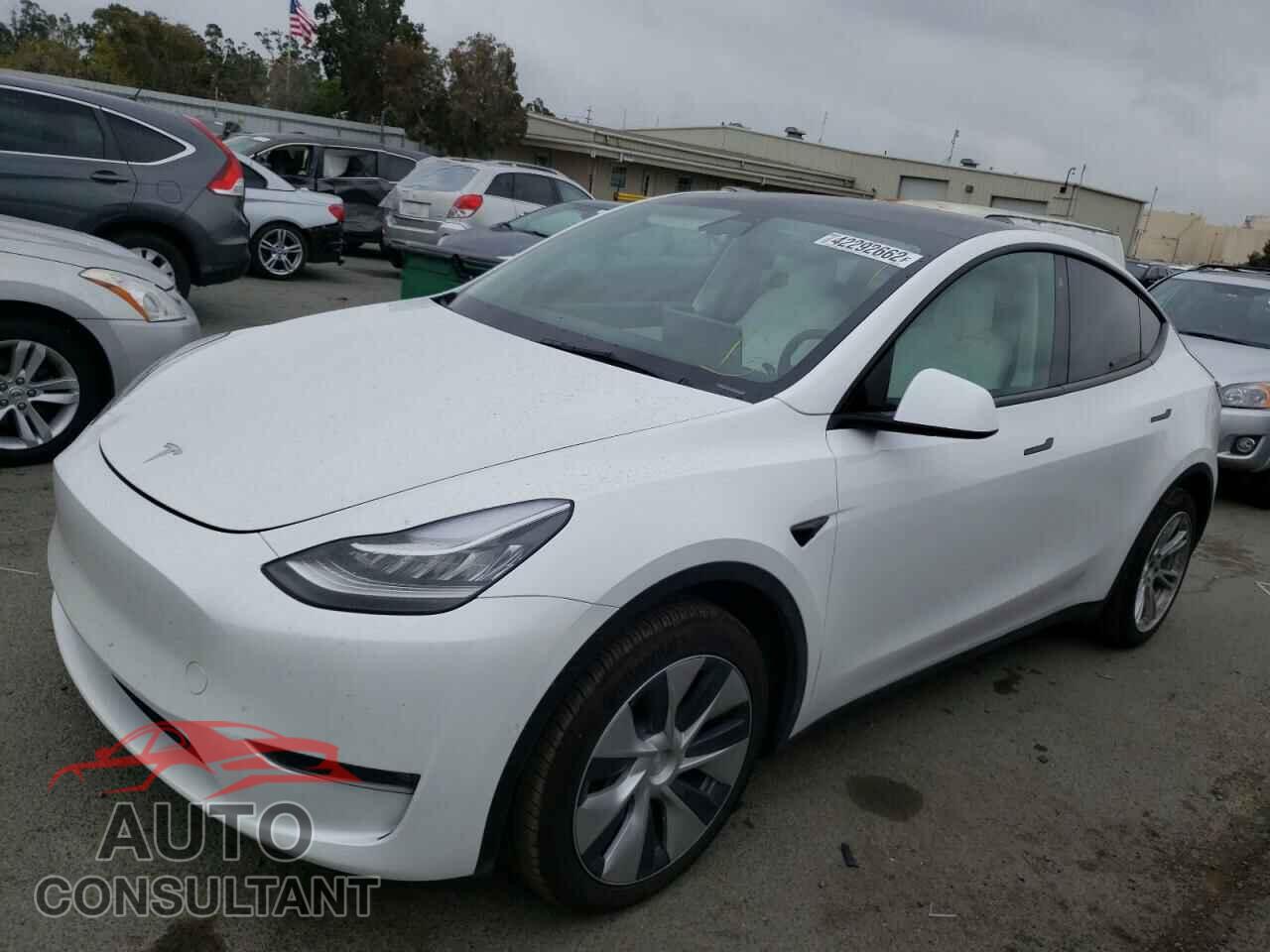 TESLA MODEL Y 2021 - 5YJYGAEE5MF295094