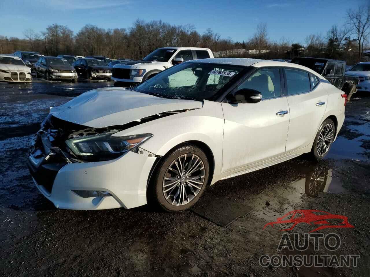 NISSAN MAXIMA 2017 - 1N4AA6AP7HC403716