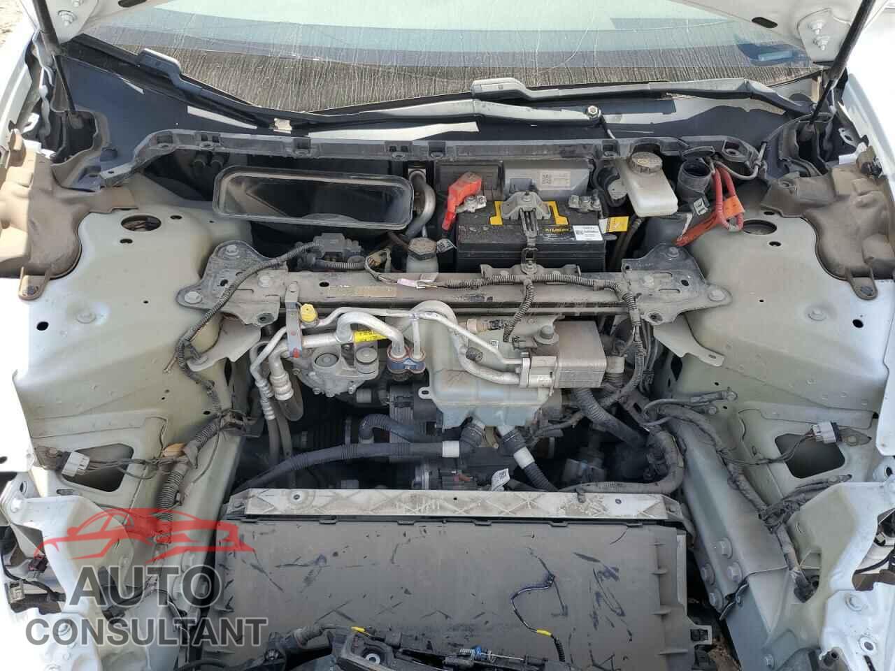 TESLA MODEL 3 2019 - 5YJ3E1EB4KF469711