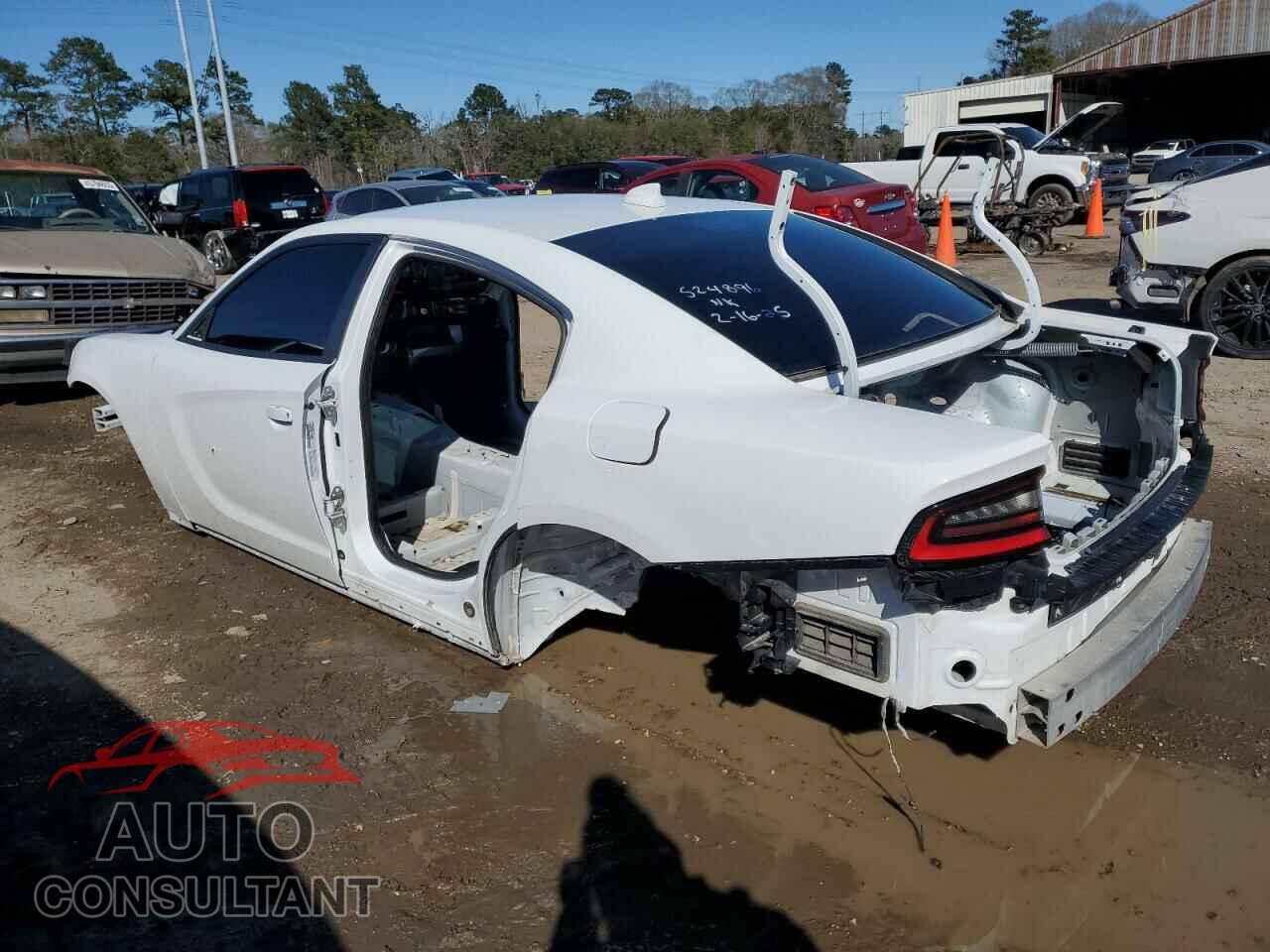 DODGE CHARGER 2023 - 2C3CDXCT1PH524896