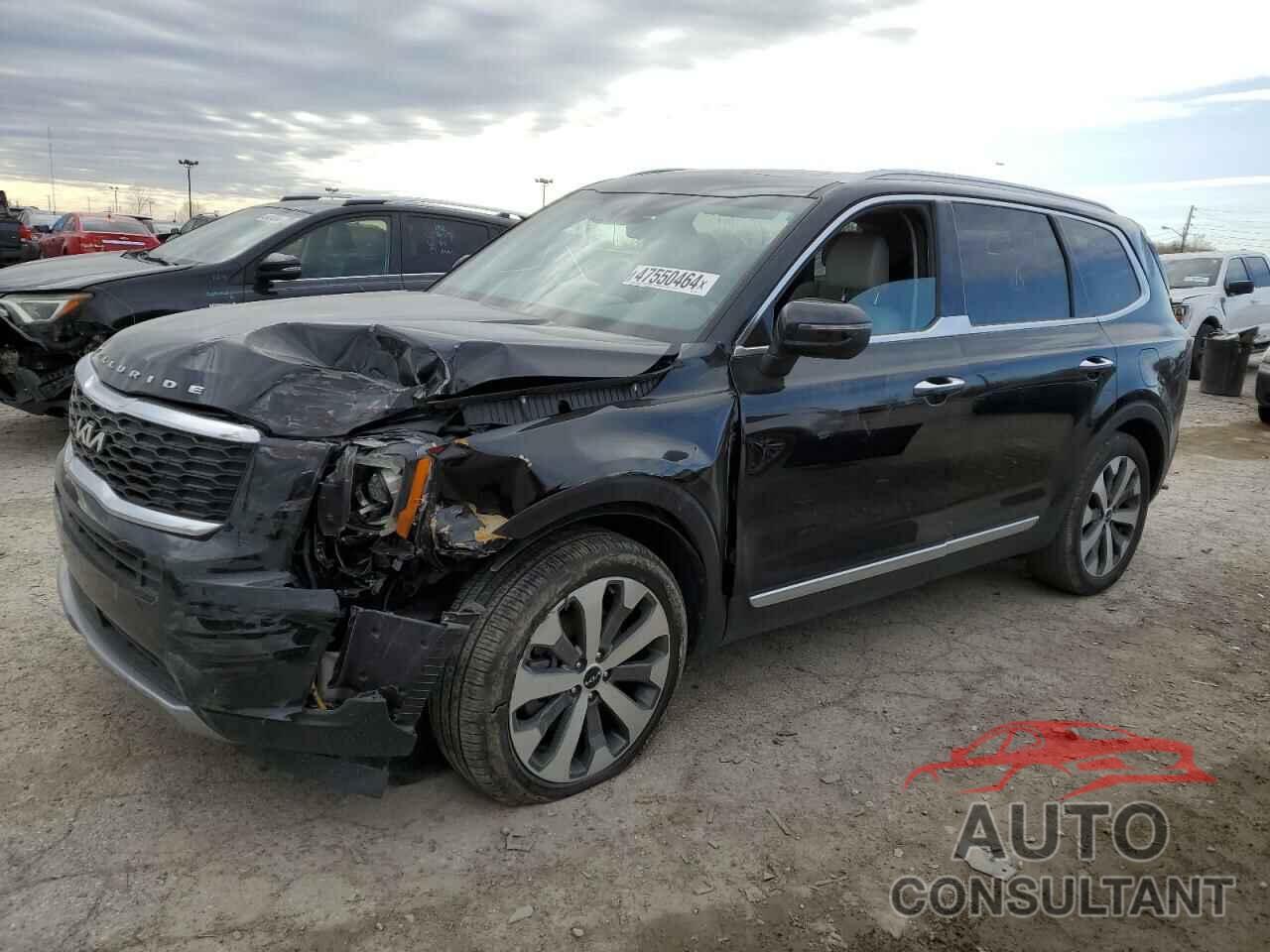 KIA TELLURIDE 2022 - 5XYP6DHC3NG250451