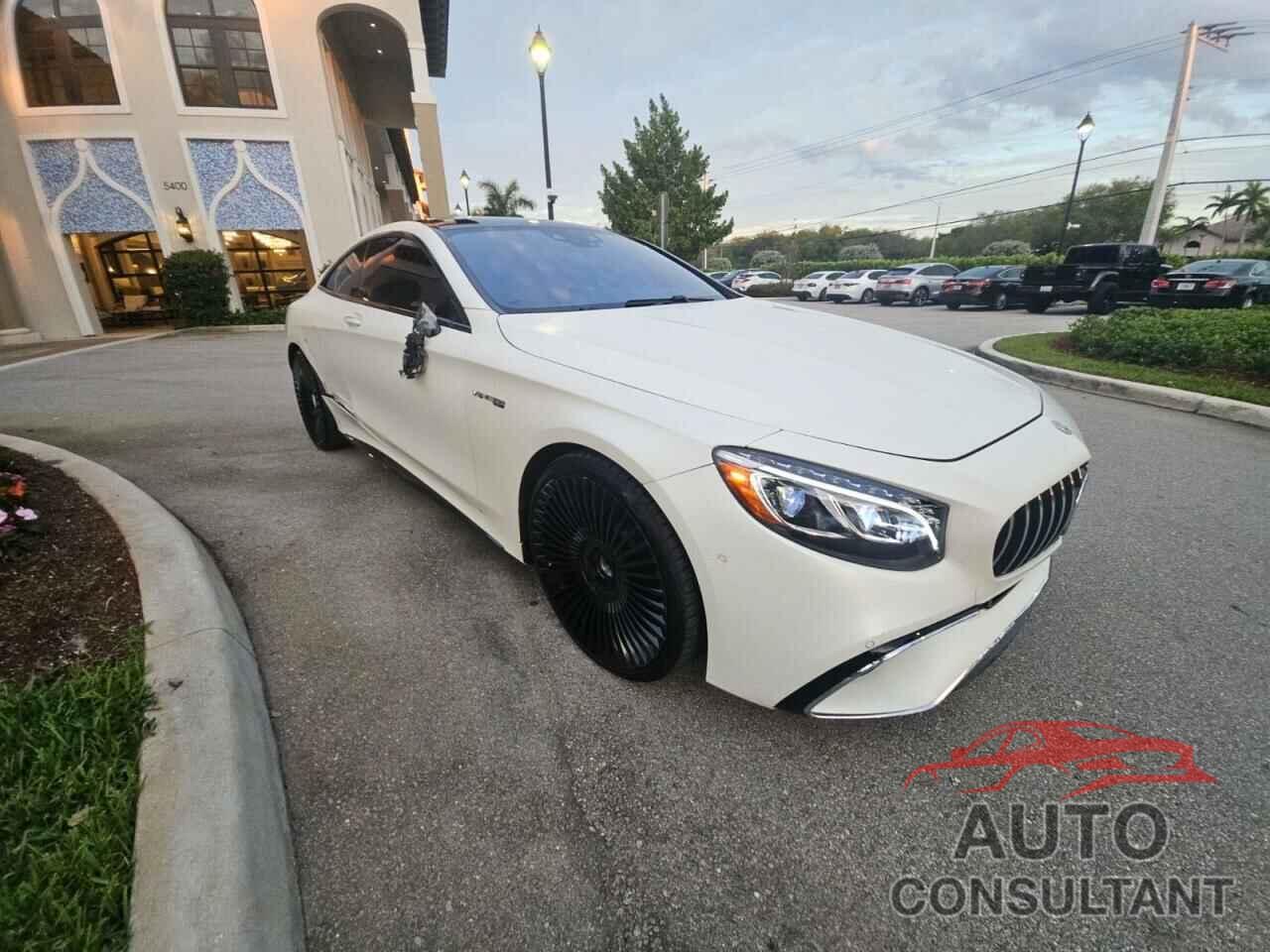 MERCEDES-BENZ S-CLASS 2019 - WDDXJ8JB9KA036251