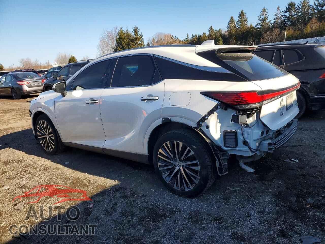 LEXUS UNKNOWN 2023 - 2T2BBMCAXPC016930
