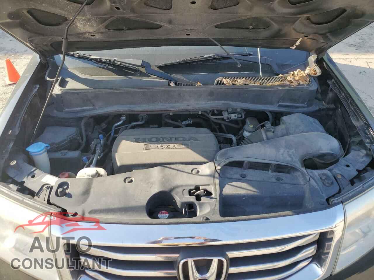 HONDA PILOT 2014 - 5FNYF4H55EB003459