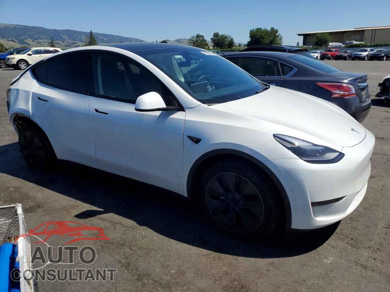 TESLA MODEL Y 2024 - 7SAYGDED0RF120366