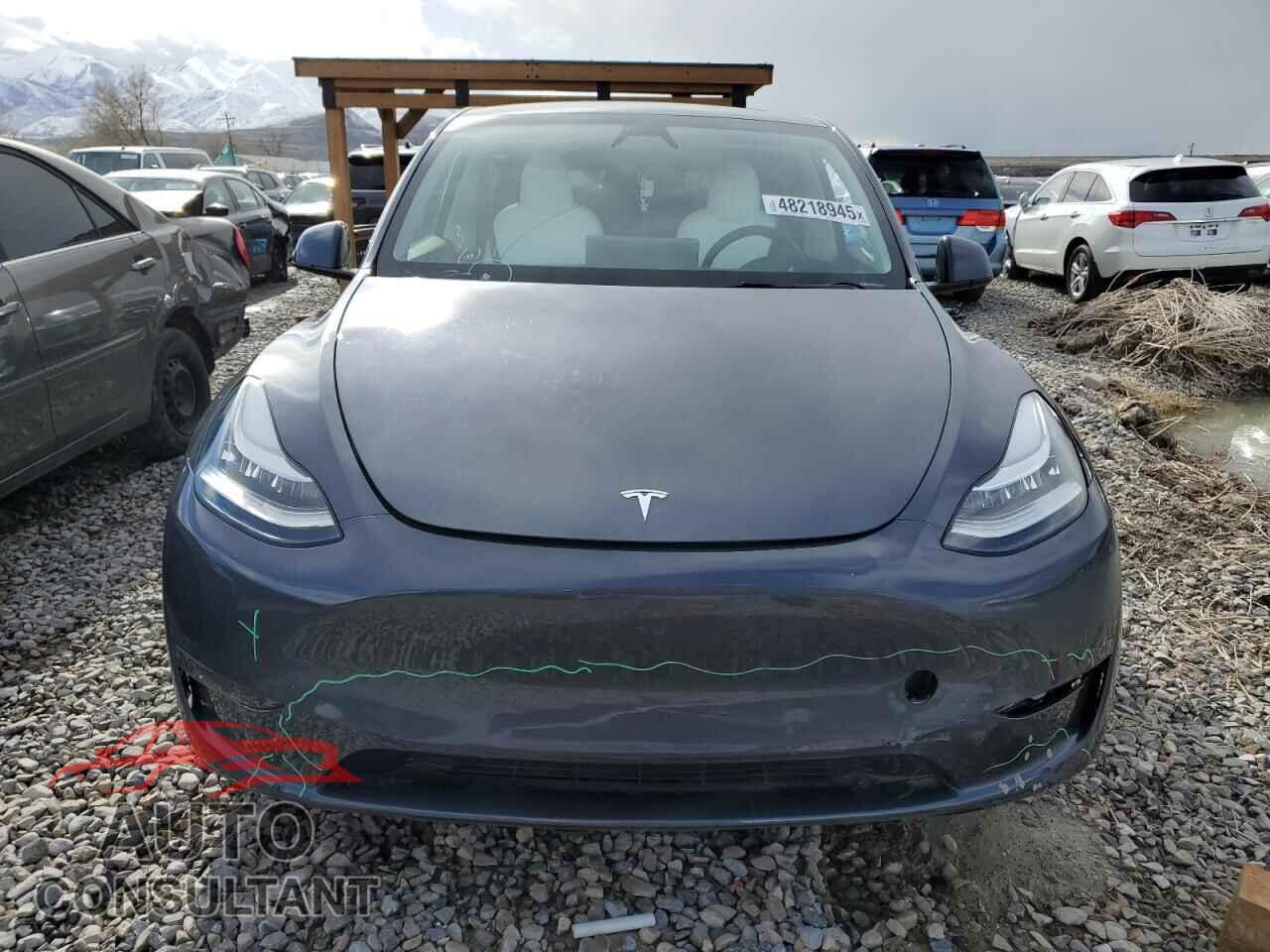 TESLA MODEL Y 2023 - 7SAYGDEE4PA147170