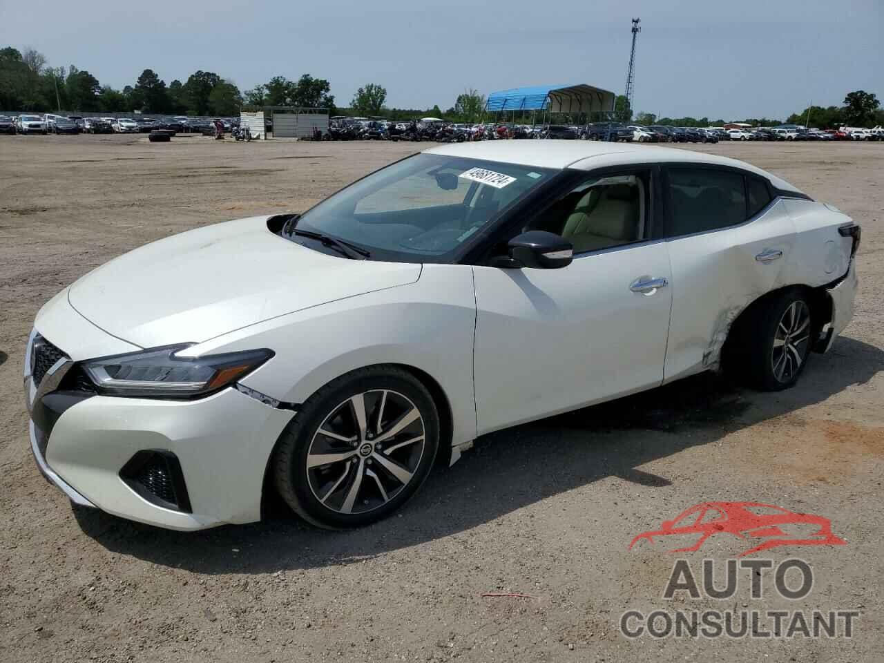 NISSAN MAXIMA 2019 - 1N4AA6AV5KC383715