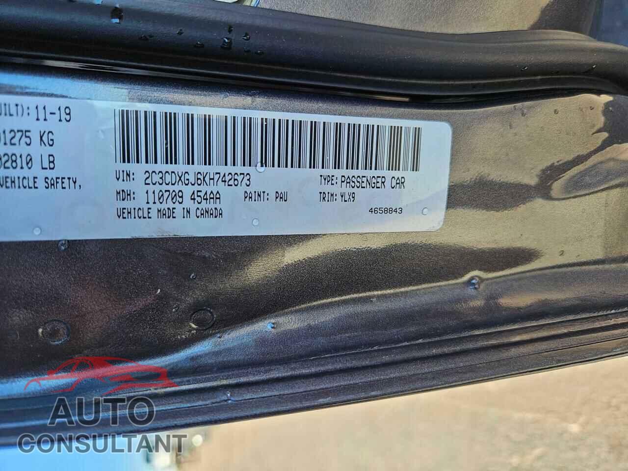 DODGE CHARGER 2019 - 2C3CDXGJ6KH742673