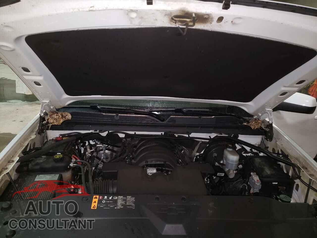 CHEVROLET SILVERADO 2019 - 2GCVKPEC3K1196406