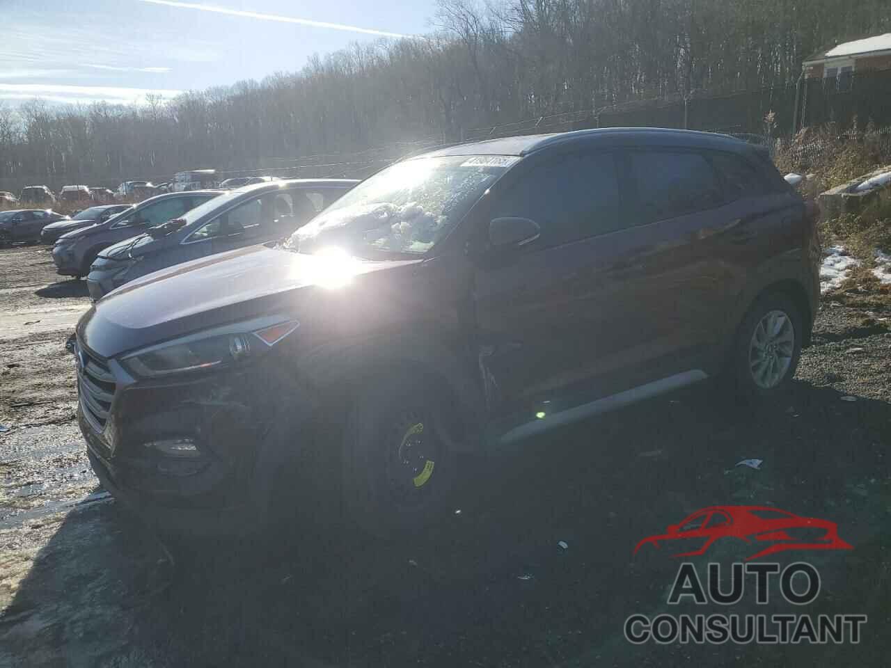 HYUNDAI TUCSON 2017 - KM8J3CA49HU550568