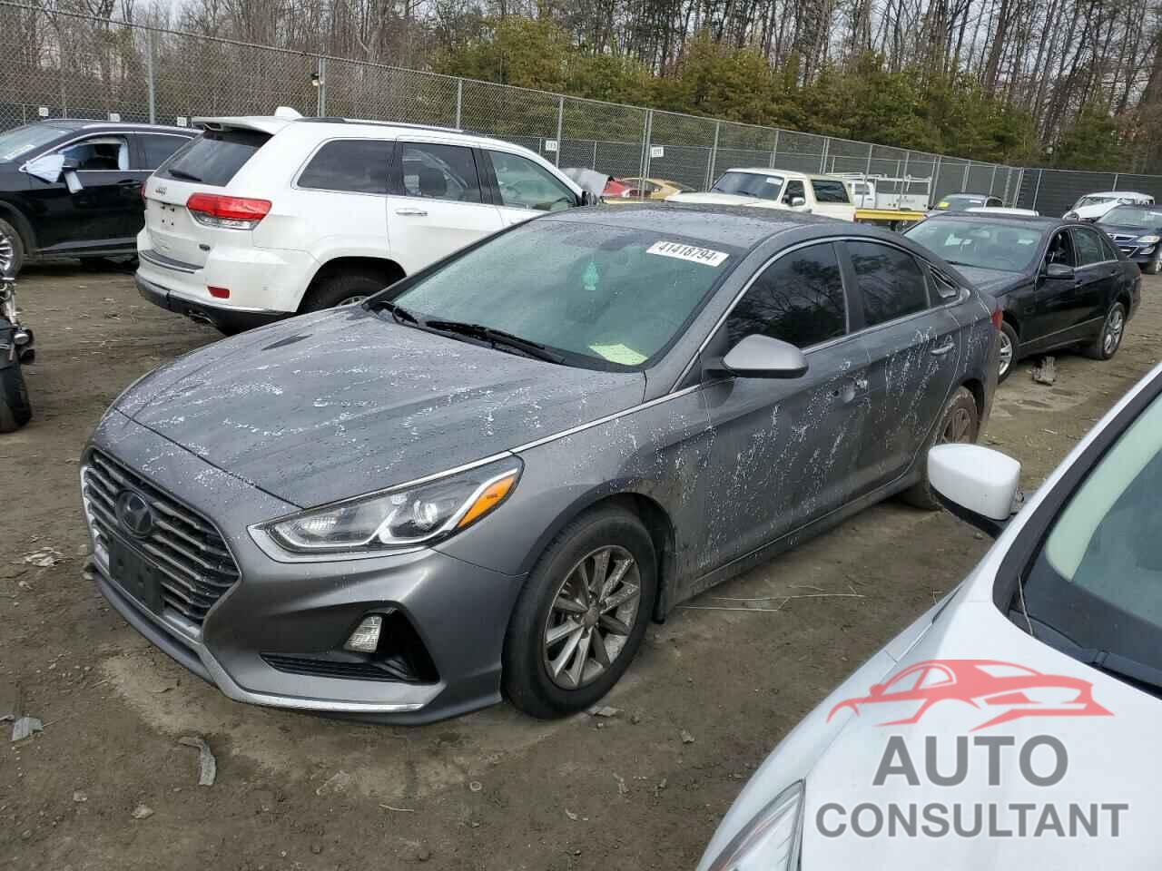 HYUNDAI SONATA 2019 - 5NPE24AF4KH810523