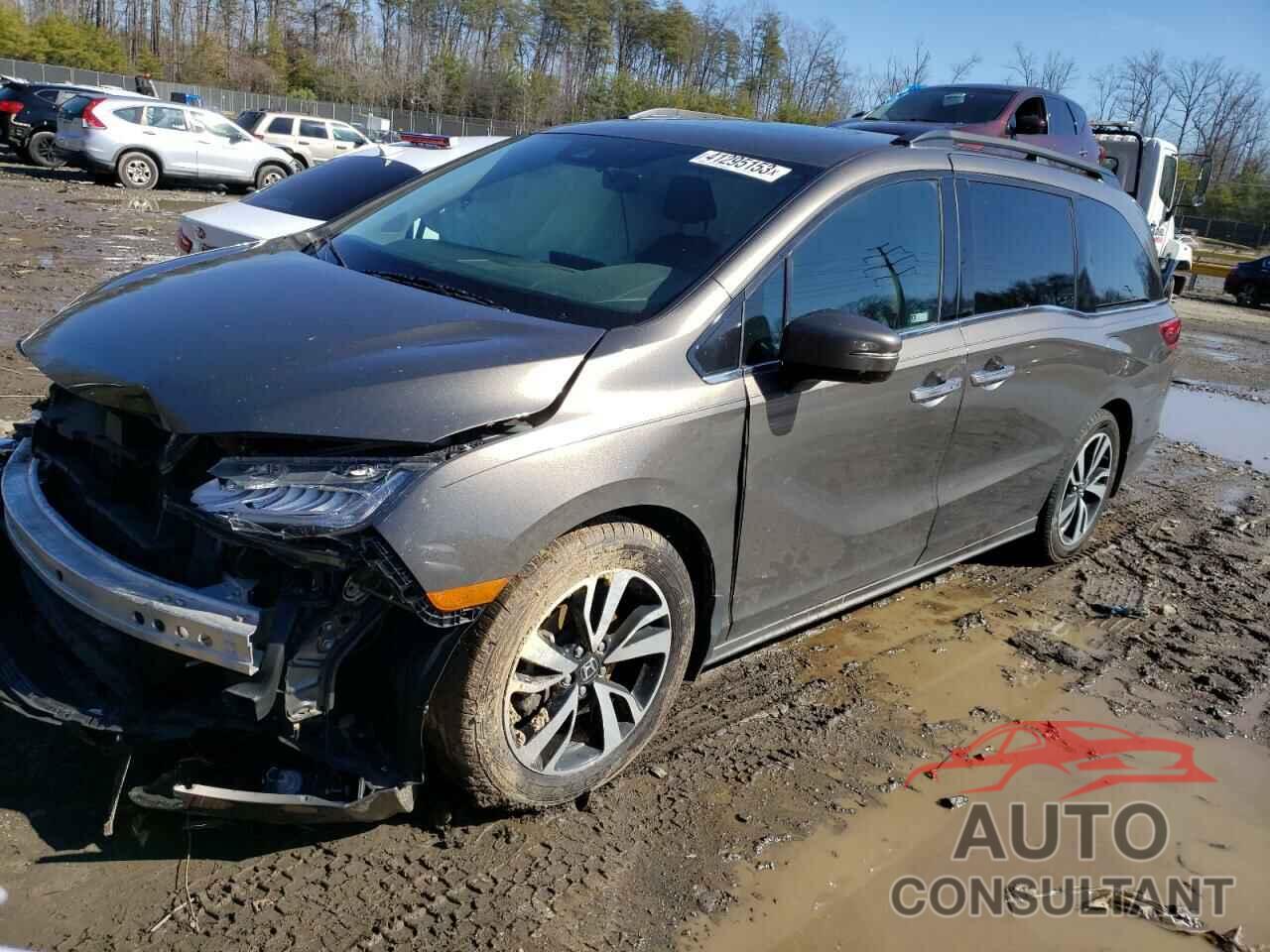 HONDA ODYSSEY 2019 - 5FNRL6H93KB007713