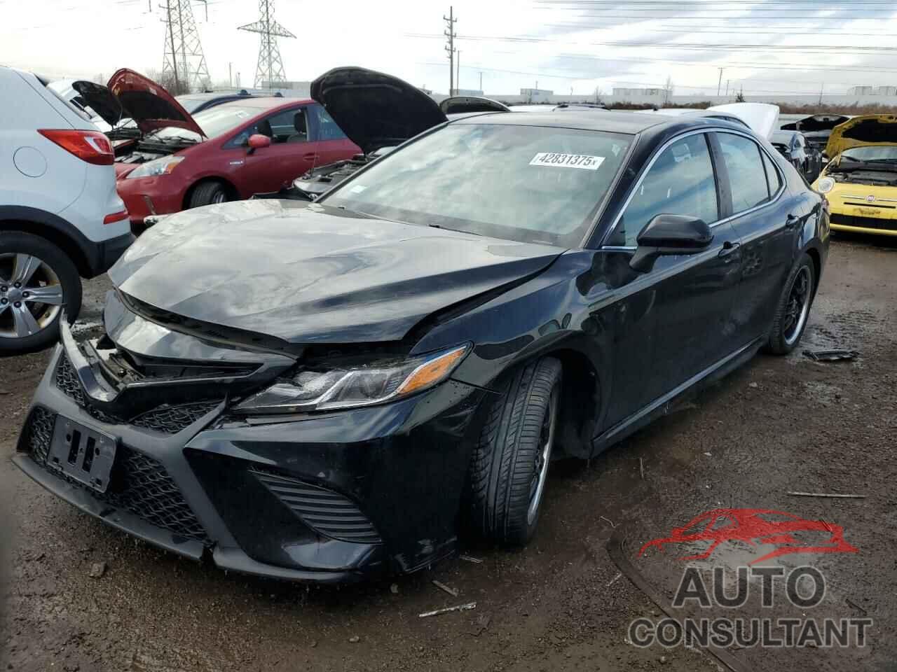 TOYOTA CAMRY 2019 - 4T1B11HKXKU184341