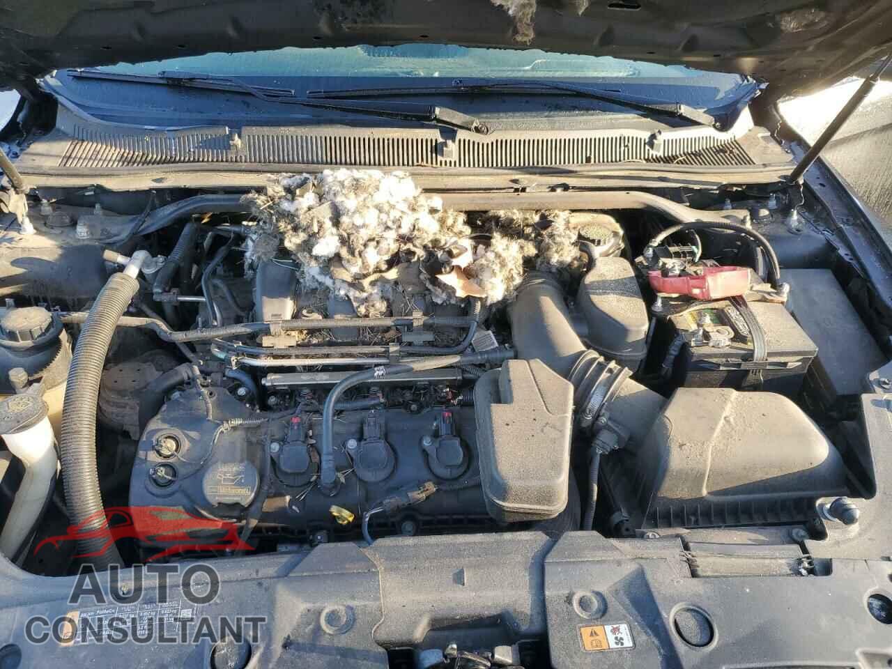 FORD TAURUS 2013 - 1FAHP2F83DG225541