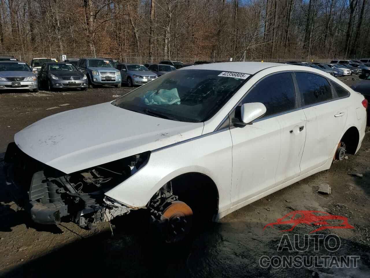 HYUNDAI SONATA 2015 - 5NPE24AF3FH148939