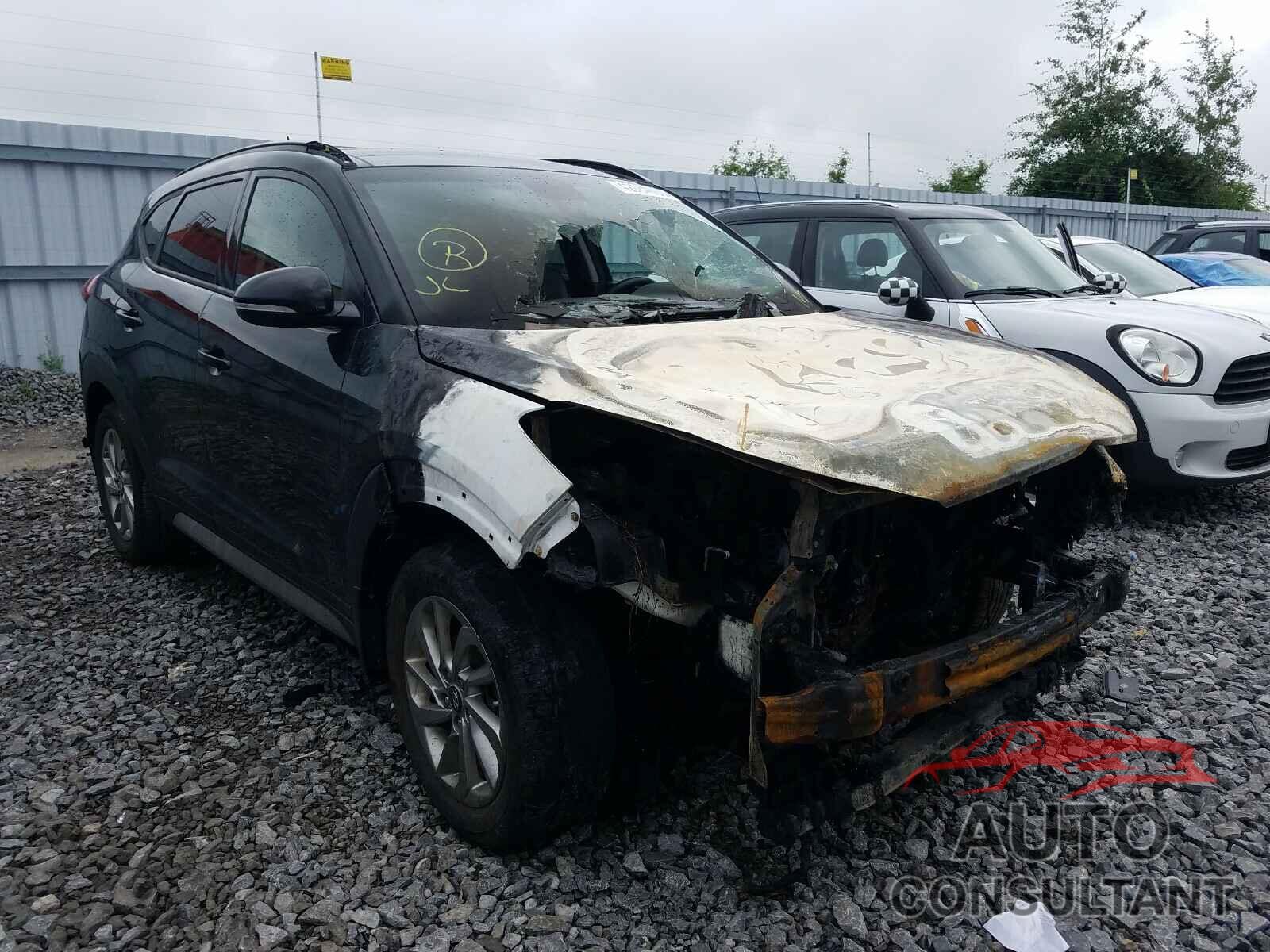 HYUNDAI TUCSON 2017 - KM8J33A46HU540144