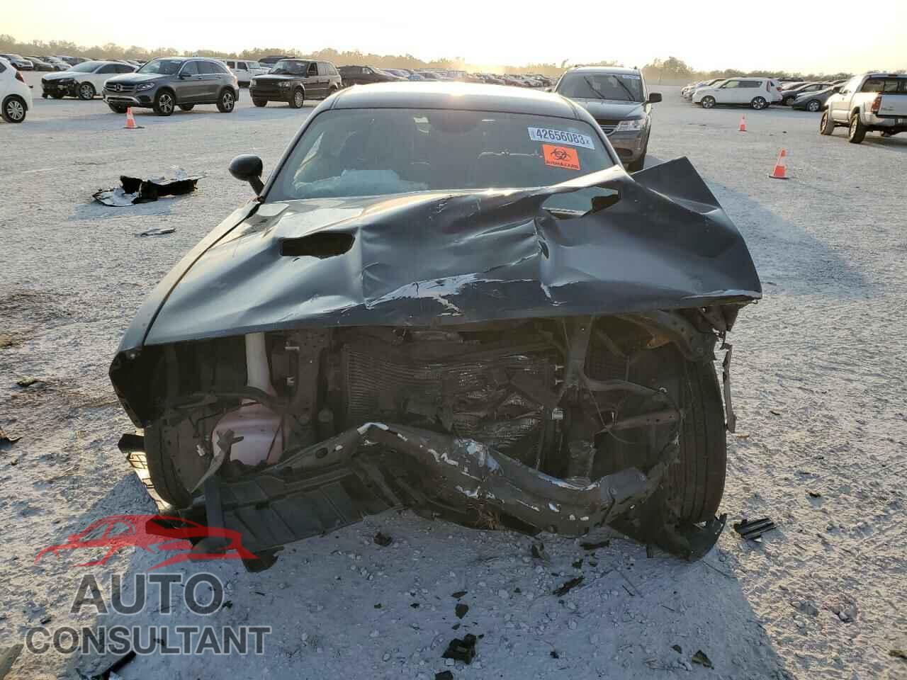 DODGE CHALLENGER 2017 - 2C3CDZBT5HH555471