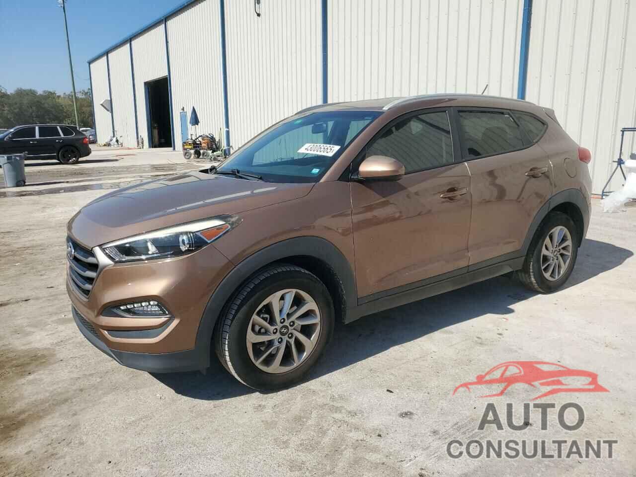 HYUNDAI TUCSON 2016 - KM8J33A48GU115233