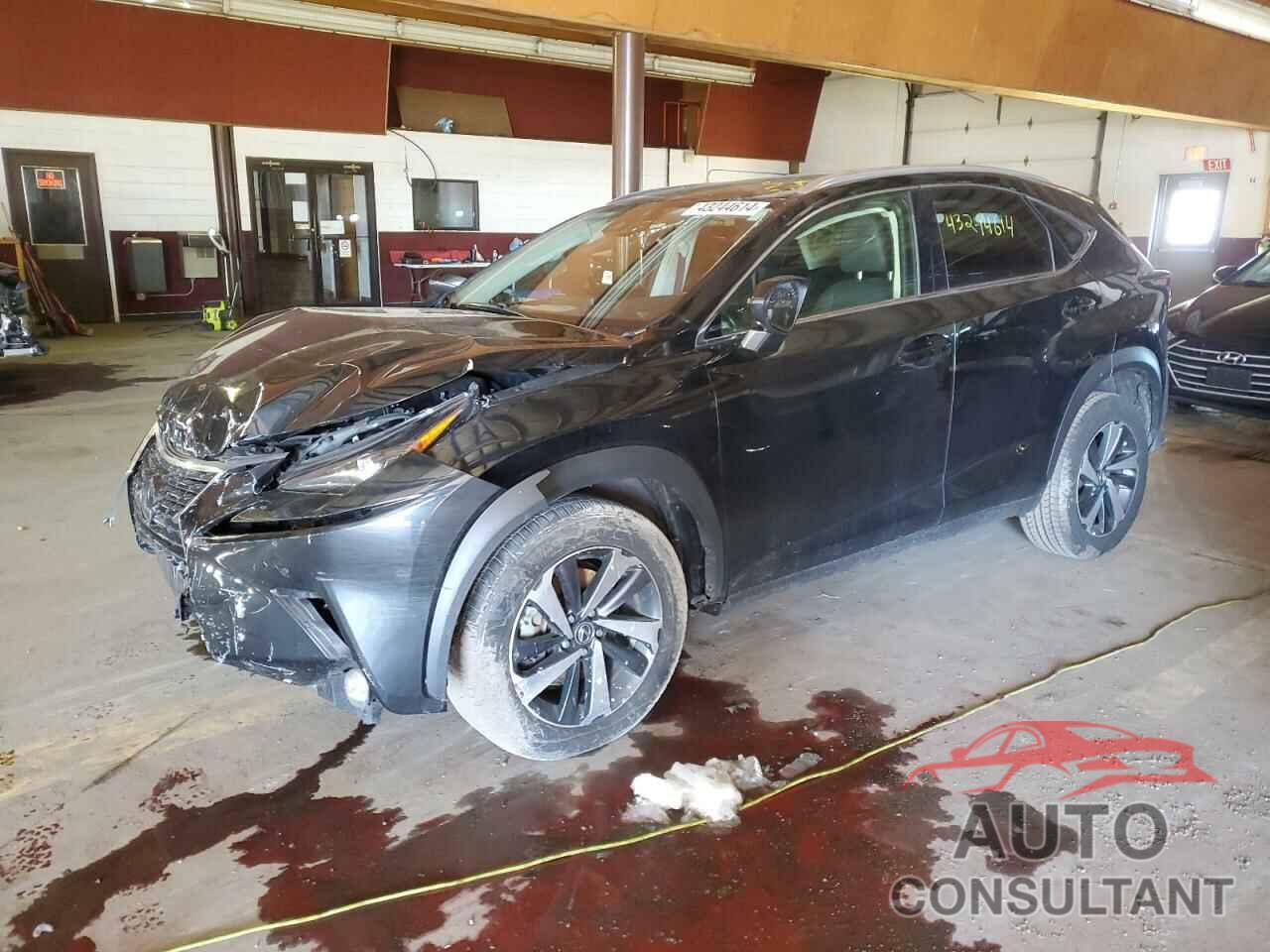 LEXUS NX 2020 - JTJGARDZ9L2222759