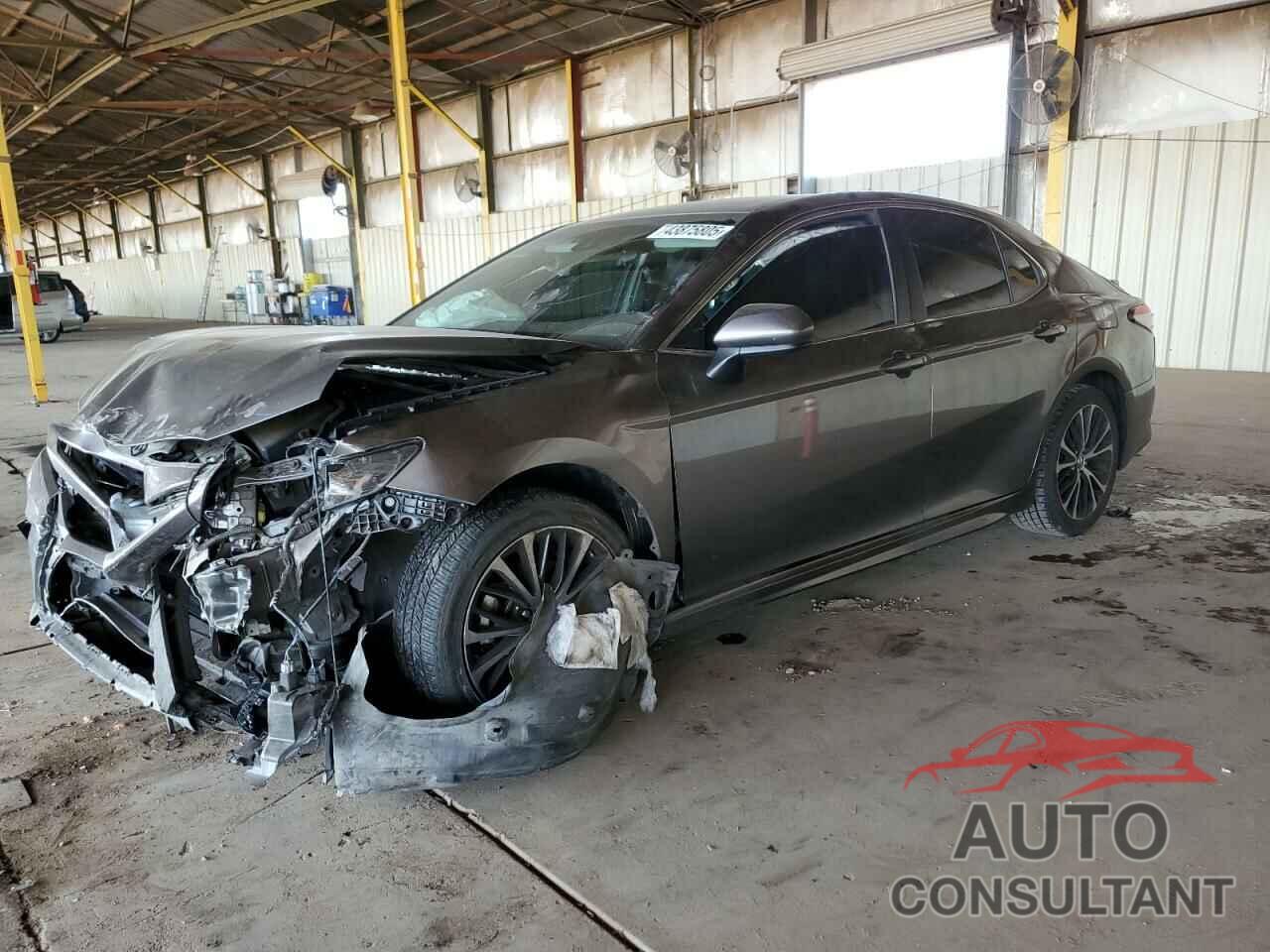 TOYOTA CAMRY 2019 - 4T1B11HKXKU815492