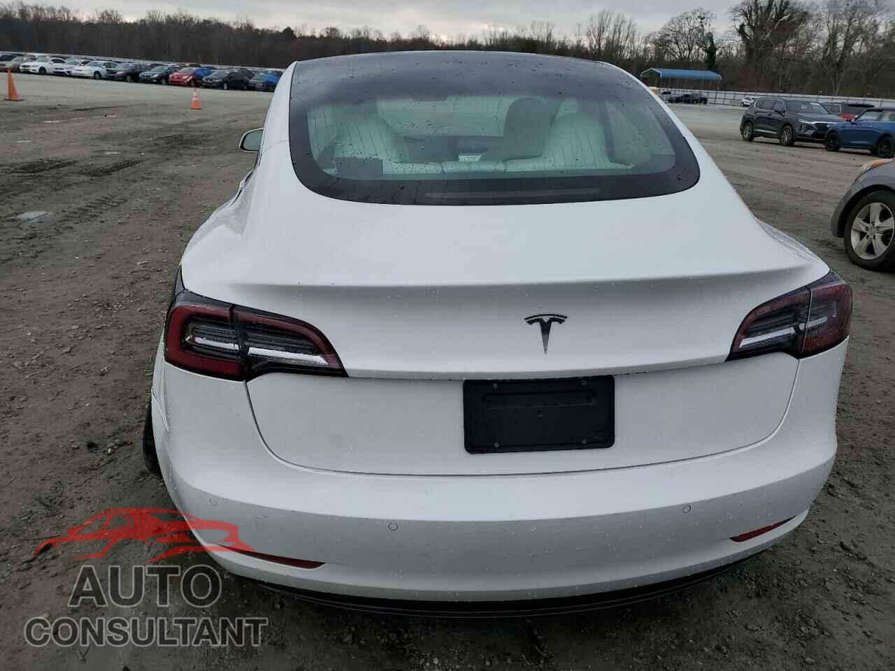 TESLA MODEL 3 2020 - 5YJ3E1EA0LF599185