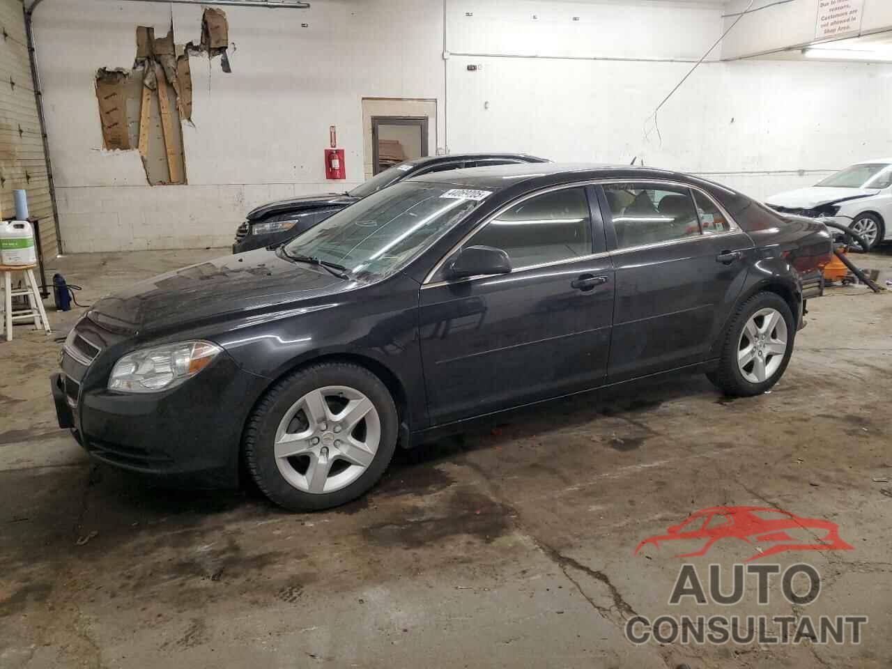 CHEVROLET MALIBU 2010 - 1G1ZB5EB3AF195091