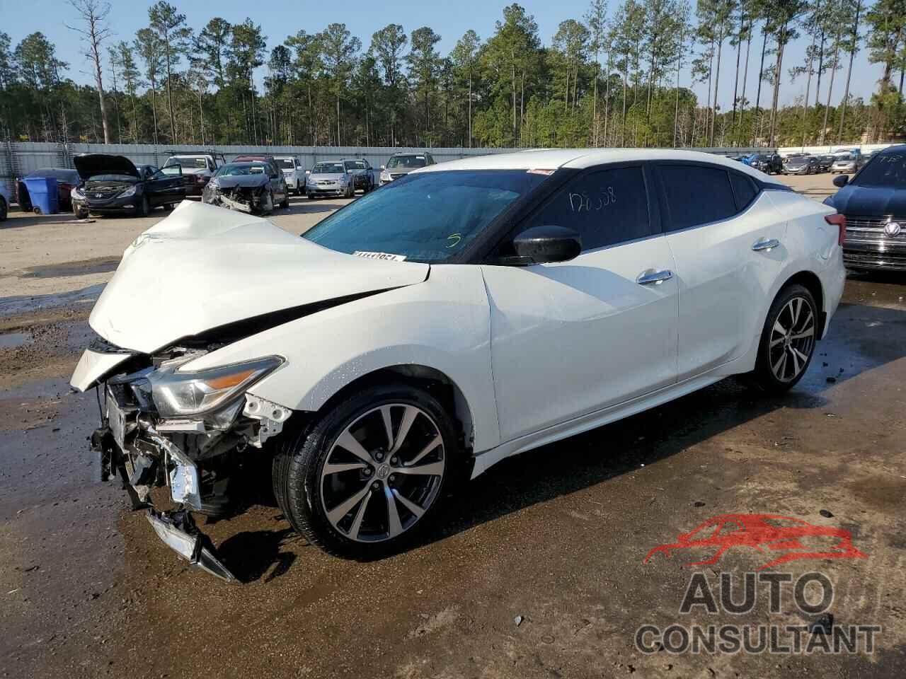 NISSAN MAXIMA 2017 - 1N4AA6APXHC364801