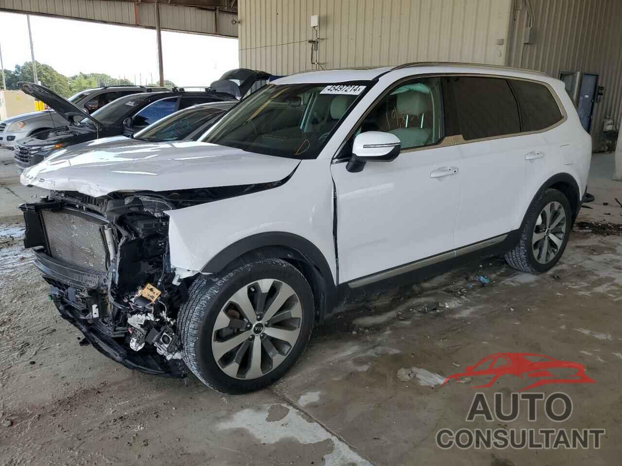 KIA TELLURIDE 2021 - 5XYP3DHC9MG135005