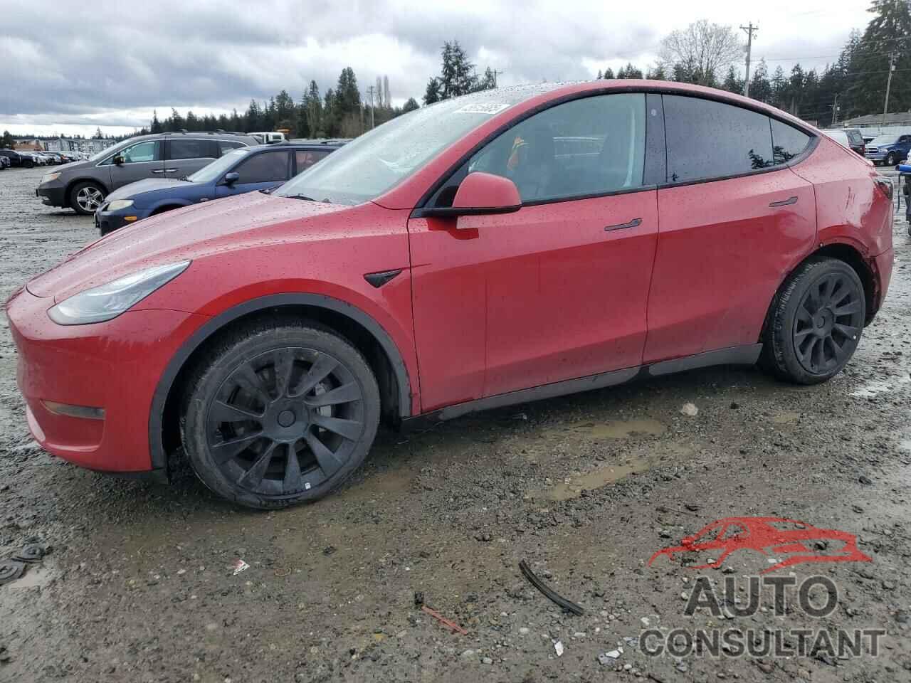 TESLA MODEL Y 2021 - 5YJYGDEE4MF199460