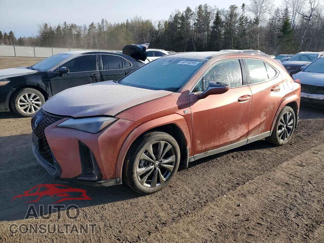 LEXUS UNKNOWN 2025 - JTHUCJDH3S2003155