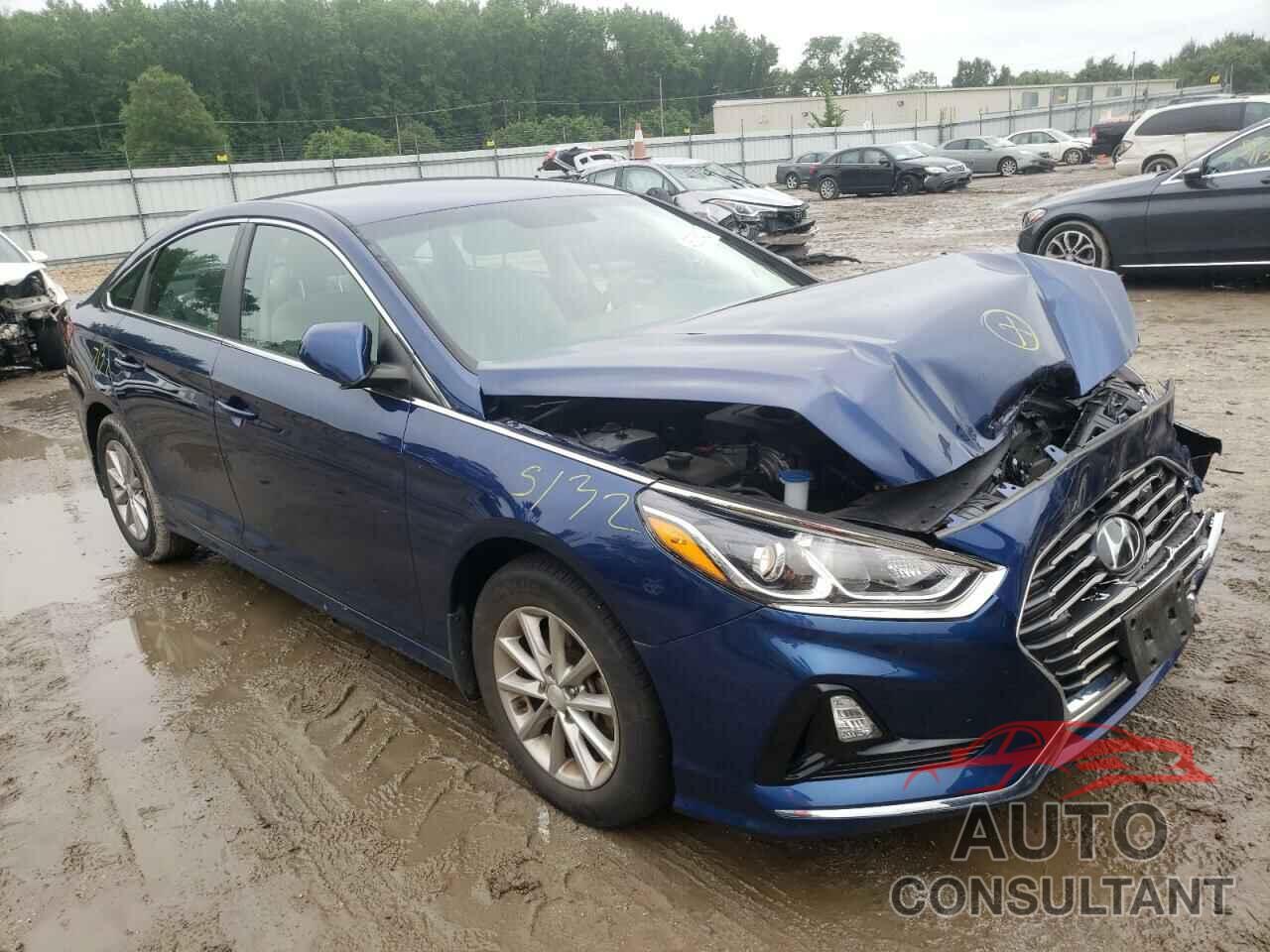 HYUNDAI SONATA 2019 - 5NPE24AF1KH794801