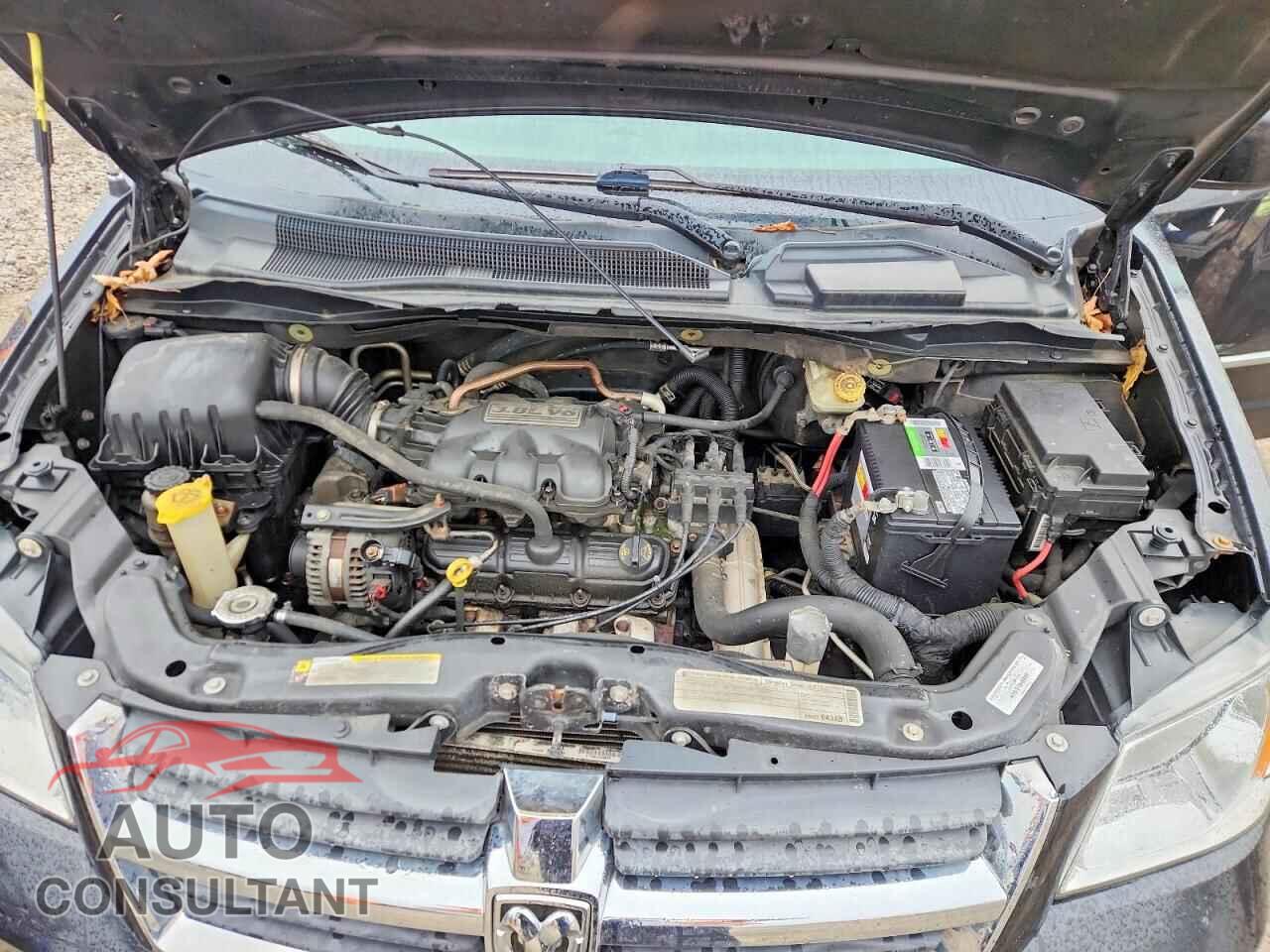 DODGE CARAVAN 2010 - 2D4RN5D10AR317859